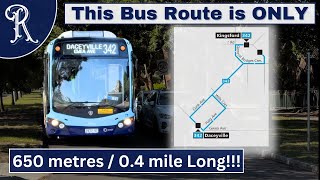 The 342 to Daceyville  Australias shortest bus route [upl. by Maribeth185]