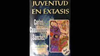 AUDIO LIBRO juventud en extasis voz latino [upl. by Odrarebe609]