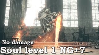 SL1 NG7 Lorian and Lothric No BlockingParryingDamage [upl. by Giraud]