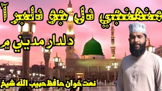 Muhinji dil jo dilbar aa dildar madine men  sindhi naat 2024 [upl. by Rapsac636]