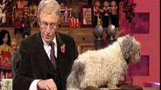 Paul OGrady Show  Post Bag amp Homeless Puppies [upl. by Dranoel392]