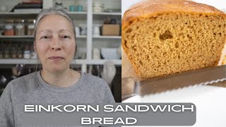 How to make and easy EINKORN sandwich loaf [upl. by Flam528]