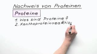 Nachweis von Proteinen  Chemie  Organische Chemie [upl. by Emanuele996]