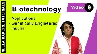 Biotechnology  NEET  Genetically Engineered Insulin  Neela Bakore Tutorials [upl. by Ermin]