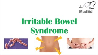 Irritable Bowel Syndrome IBS Causes Symptoms Bristol Stool Chart Types and Treatment [upl. by Norwood]