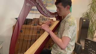 NZ 2023 Harp Performance Competition Danny Upper Intermediate Winner [upl. by Rokach]