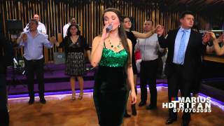 11 Revelion Restaurant Dunarea 2015  Ana Maria Oprisan colaj hore  LIVE  cover [upl. by Noiramed176]