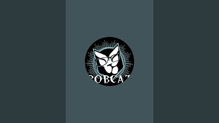 Bobcat is live [upl. by Meredith]