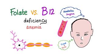 Folate Deficiency vs Vitamin B12 Deficiency  Diet and Nutrition  Hematology [upl. by Huff746]