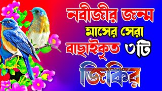 প্রিয় নবীজির জন্মের মাসের সেরা জিকির  মা আমিনা ও নবীজির জন্মের ঘটনা zikirjikir banglajikir [upl. by Assetnoc]