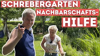 Garten Vlog 59 Tomaten beschneiden  Gartenteich begrünen  Schrebergarten Nachbarschaft [upl. by Hach]