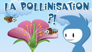 La pollinisation explication 12 [upl. by Rusert]