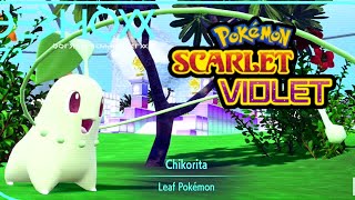 WHERE TO FIND THE STARTER POKEMON CHIKORITA Pokemon Scarlet amp Violet [upl. by Verina850]