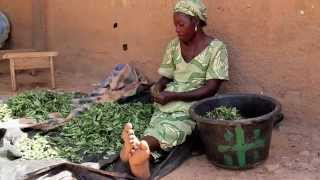 Lagriculture biologique au Burkina Faso  La meilleure réponse aux effets du changement climatique [upl. by Kellina802]