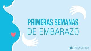 Primeras semanas de embarazo  El embarazo semana a semana [upl. by Eednam]