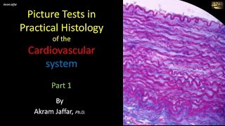 Picture tests in histology of the cardiovascular system 1 [upl. by Nail]