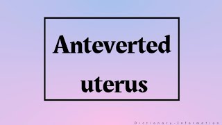 Anteverted Uterus Meaning [upl. by Adnek327]