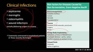 Nonfermentative Gram negative bacilli [upl. by Scibert]