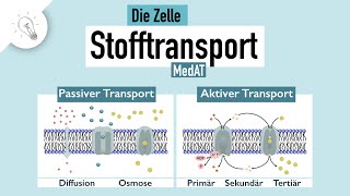 Cell Transport [upl. by Purity]