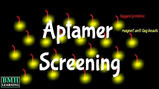 Aptamer Screening  Selection amp Enrichment Of Aptamers [upl. by Zeiger487]