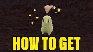 How to get shiny Chikorita  Indigo Disk Pokemon Scarlet and Violet [upl. by Onit]