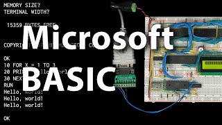 Running MSBASIC on my breadboard 6502 computer [upl. by Adama]