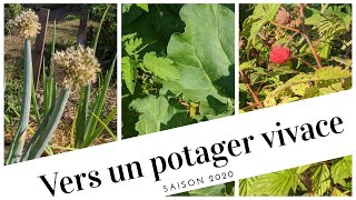 🌱Vers un potager vivace pour gagner du temps section au soleil [upl. by Aitercal]