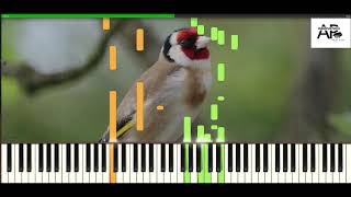 Kenny G  Songbird  Adelina Piano synthesia tutorial [upl. by Maziar]