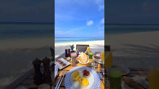 Мальдивы 🇲🇻Роскошный завтрак на мальдивском пляже экоотеля Raffles Maldives Meradhoo 😍 [upl. by Ahdar]