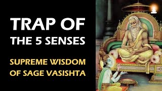 Supreme Wisdom of Sage Vasishta  Ep 137  Trap of the Five SensePleasures [upl. by Annia]