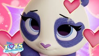 Precious the Panda Profile 🐼  TOTS Disney Junior [upl. by Elocen348]