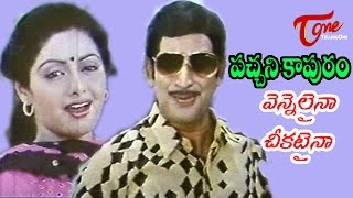 Pachani Kapuram Songs  Vennelainaa Cheekataina  Krishna  Sridevi [upl. by Jecoa]