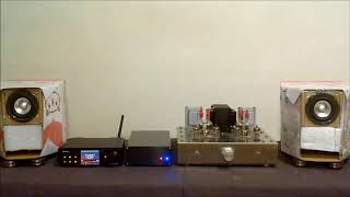 Fountek FE85 3quot FullRange Speaker Driver test2 [upl. by Gabriele172]