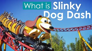 What is Slinky Dog Dash  Disneys First Double Launch Coaster [upl. by Joiner730]