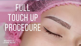 ✅ MICROBLADING with SHADING Stepby step TOUCH UP PROCEDURE Tutorial [upl. by Flossi193]