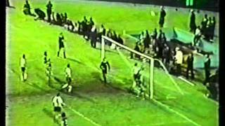 Paulistão 1974  Final Palmeiras x Corinthians [upl. by Nirret]