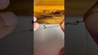 Drop Shot Rig  How to tie a Drop Shot Rig  Fishing Knots knot hook shorts fishing [upl. by Dehsar]