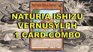 NATURIA ISHIZU VERNUSYLPH 1 CARD COMBO [upl. by Eeslek]