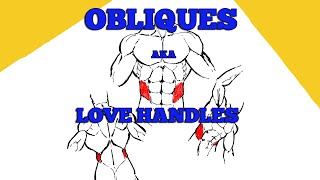 Drawing anad understanding the LOVE HANDLES aka The OBLIQUES [upl. by Ashia]