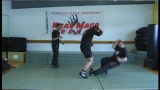 Krav Maga Defcon  Szenen aus dem Training [upl. by Naujahs813]