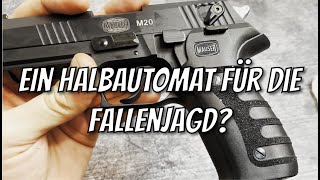 Mauser M20 22 LR HV Fangschuss Waffe für die Fallenjagd Kleinkaliber [upl. by Gladstone]