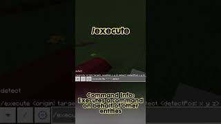 How to use the execute command in Minecraft Bedrock minecraft bedrock command fyp [upl. by Mani]