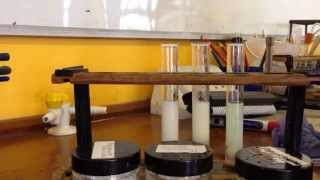 AQA Required Practical  identifying ions Test for Halide Ions [upl. by Aelak]