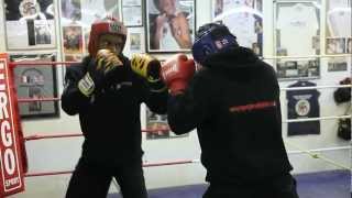 Stourbridge College Lions Boxing Academy 1920x1080 HD [upl. by Blount201]