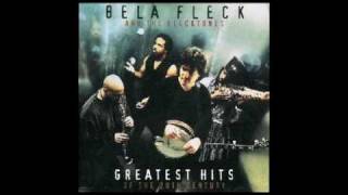 Bela Fleck amp The Flecktones  Stomping Grounds [upl. by Essinger]