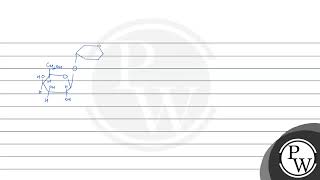 Write the products obtained after hydrolysis of lactose [upl. by Locklin]