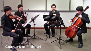 Canon in D by Pachelbel Vetta Quartet from Singapore [upl. by Mas622]