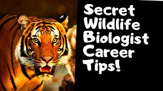 Career Advice For Wildlife Biology  Secret Tips [upl. by Gallenz]