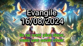 Evangile 16082024quotEstil permis à un homme de renvoyer sa femmequot evangile evangiledujour jesus [upl. by Midas]