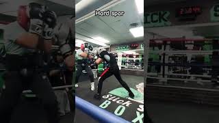 Hard spar boxing sparring spar youtubeshorts boxeo [upl. by Faucher]